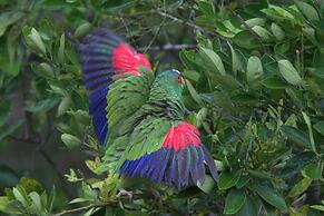 Rock Farm Guest House