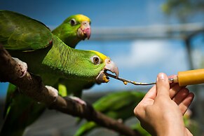Rock Farm Guest House