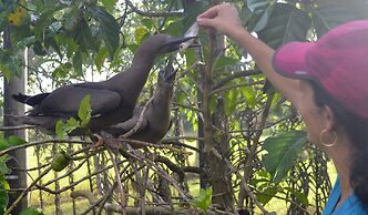 Rock Farm Guest House