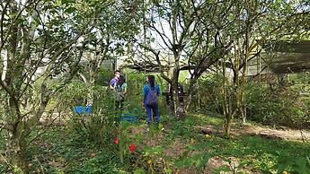 Rock Farm Guest House