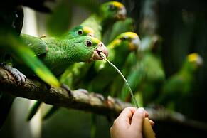 Rock Farm Guest House