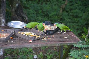 Rock Farm Guest House