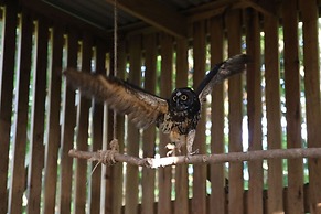 Rock Farm Guest House