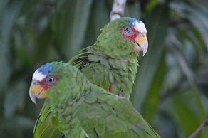 Rock Farm Guest House