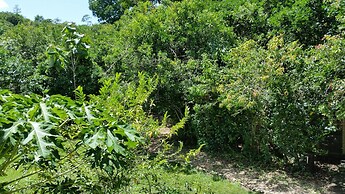 Rock Farm Guest House