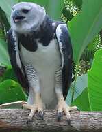 Rock Farm Guest House