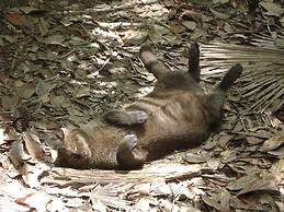 Rock Farm Guest House