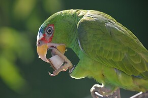 Rock Farm Guest House