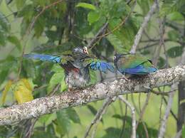 Rock Farm Guest House