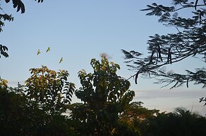 Rock Farm Guest House