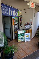 Sleepers Sleep Cheaper Hostel