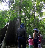 Ecolucerna Lodge Tambopata