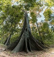 Ecolucerna Lodge Tambopata