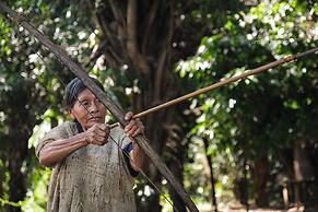 Ecolucerna Lodge Tambopata