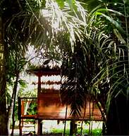 Ecolucerna Lodge Tambopata