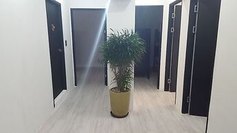 Amazon Guesthouse - Hostel