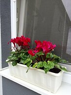 Ferienhaus Piešťany