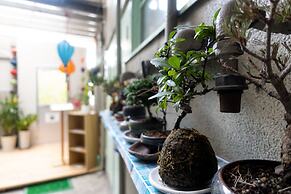 Traditional Apartment - Hostel