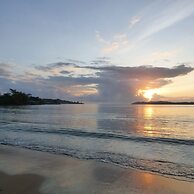 Sand Dollar Beach Bed & Breakfast