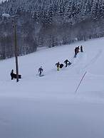 Lyngseidet Gjestegård