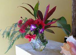 Bungalow Natura Village