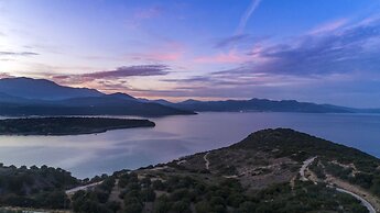 Anemone Seaside Traditional Homes
