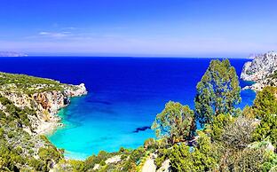 Anemone Seaside Traditional Homes