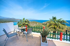 Anemone Seaside Traditional Homes