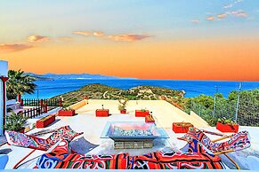 Anemone Seaside Traditional Homes