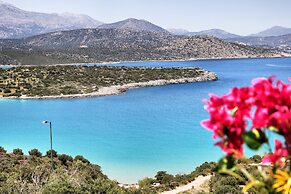 Anemone Seaside Traditional Homes