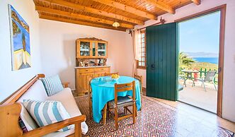 Anemone Seaside Traditional Homes