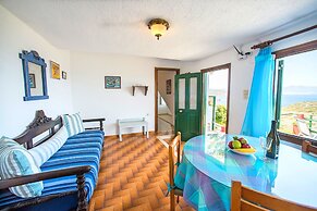 Anemone Seaside Traditional Homes