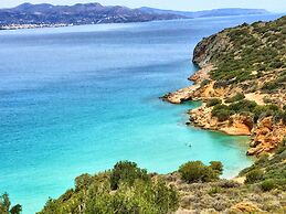 Anemone Seaside Traditional Homes