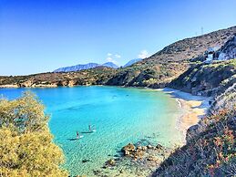 Anemone Seaside Traditional Homes