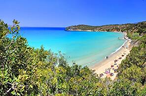 Anemone Seaside Traditional Homes