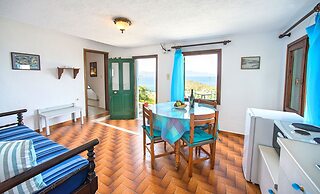 Anemone Seaside Traditional Homes