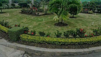 Oceanic View Apartment at Fern Court