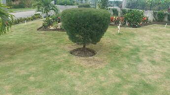 Oceanic View Apartment at Fern Court