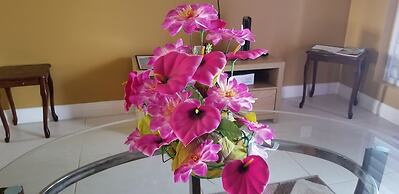 Oceanic View Apartment at Fern Court