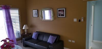 Oceanic View Apartment at Fern Court