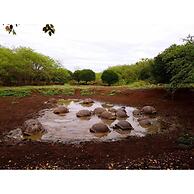 Torre Mar Galapagos Boutique Suites