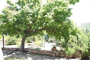 Citai Sea View House