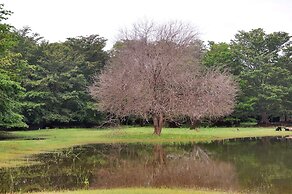 La Pentera