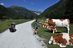 Chaletdorf Fanningberg