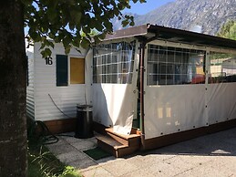 International Camping