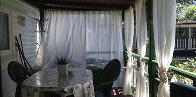 International Camping