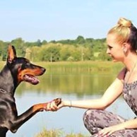 International Camping