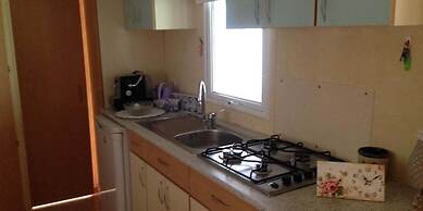 International Camping