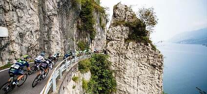 International Camping