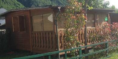 International Camping